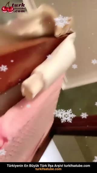 Üstün Vip Konumları